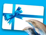 Zoomarine Gift