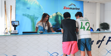  Serviço e apoio ao visitante