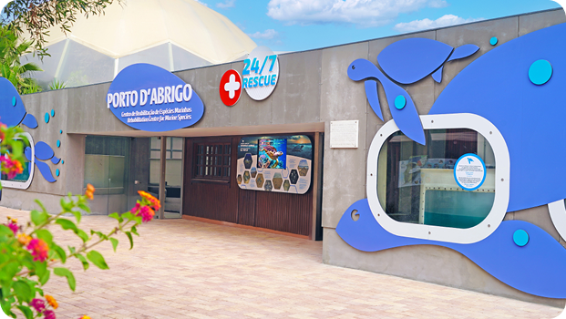 atividade _ centro de abrigo _ modal?