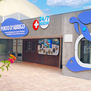 centro de reabilitação _ slider _ abrigo _ mobile