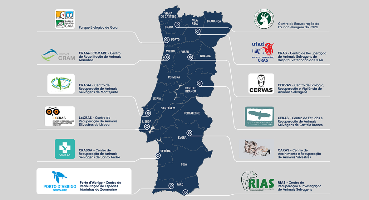 centro de reabilitação_ fundo transparente _ Mapa Centros de Reabilitação Portugal _ desktop