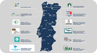 centro de reabilitação_ fundo transparente _ Mapa Centros de Reabilitação Portugal _ mobile