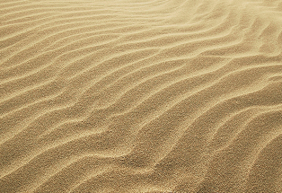 educação ambiental _ operação praia limpa _ desktop