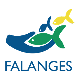 falanges _ banner _ logo