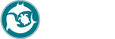 marine megafauna foundation _ logo