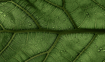 conservação _ banner _ mobile