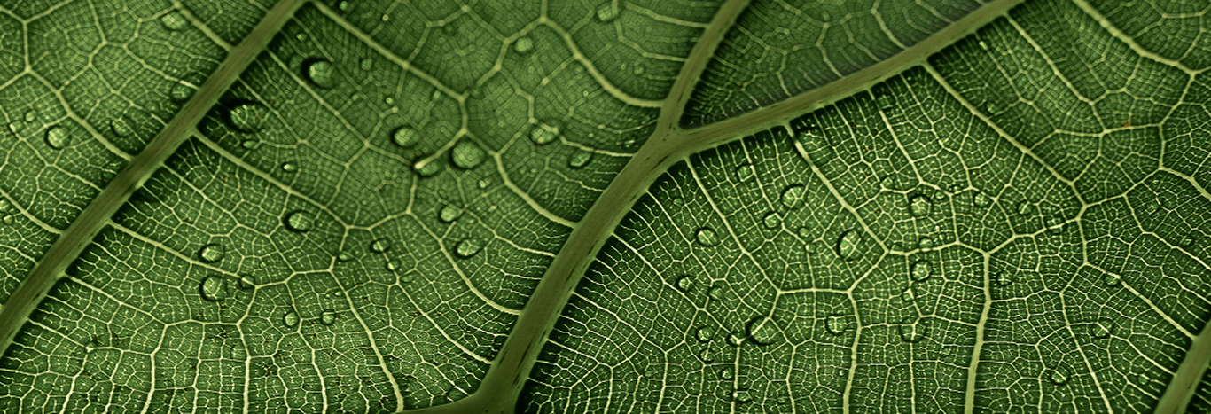 projetos de conservação _ banner _ desktop