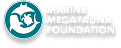 projetos de conservação _ logo _ conheça outros _ marine megafauna
